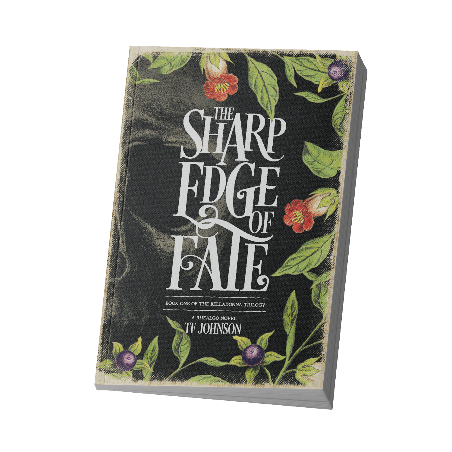 The Sharp Edge Of Fate Paperback