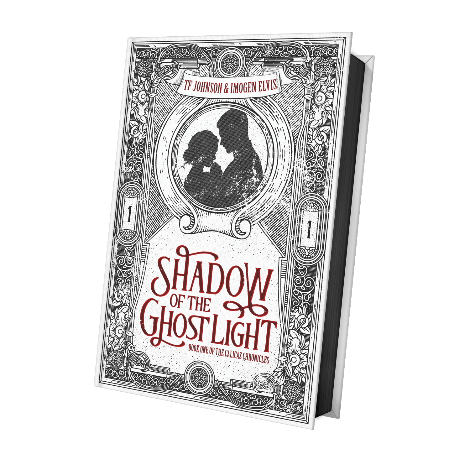 Shadow of the Ghost Light Hardcover