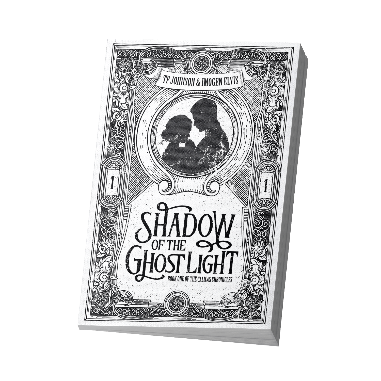 Shadow of the Ghost Light Paperback